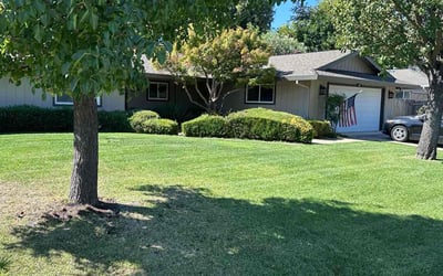 Photo of Melissa R.'s yard after getting lawn care in Orangevale, CA