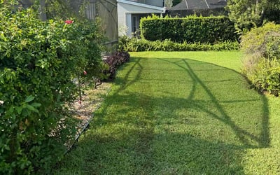 Photo of Paul M.'s yard after getting lawn care in Philadelphia, PA
