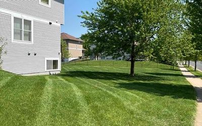 Photo of Gloria R.'s yard after getting lawn care in Brooklyn Center, MN
