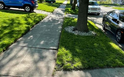 Photo of Michele M.'s yard after getting lawn care in Hazel Park, MI