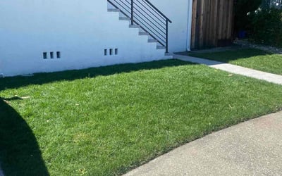 Photo of Jayson O.'s yard after getting lawn care in Pacifica, CA