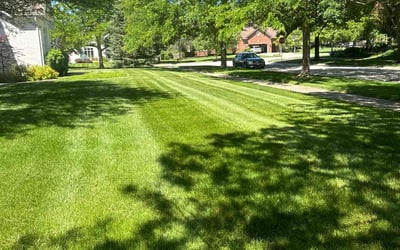 Photo of Tawanda S.'s yard after getting lawn care in Jeannette, PA