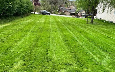 Photo of Tracy L.'s yard after getting lawn care in West Mifflin, PA