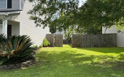Photo of Mark S.'s yard after getting lawn care in Santa Clara, CA