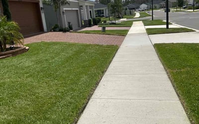Photo of Angelita T.'s yard after getting lawn care in Albany, GA
