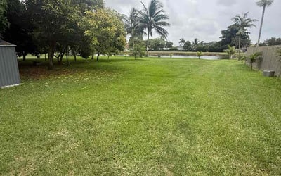 Photo of Allen L.'s yard after getting lawn care in Portland, TN
