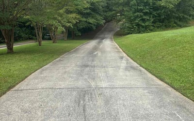 Photo of Marty B.'s yard after getting lawn care in York, PA