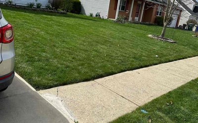 Photo of Alecia L.'s yard after getting lawn care in Johnstown, PA