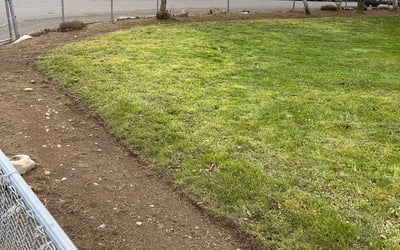 Photo of Debbie S.'s yard after getting lawn care in West Chester, PA