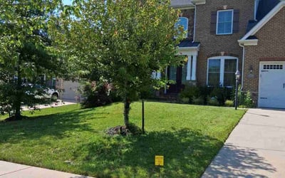 Photo of Taresa O.'s yard after getting lawn care in Sheridan, AR