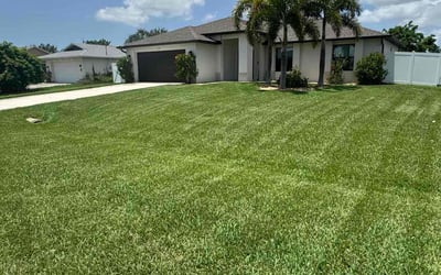 Photo of Tracey P.'s yard after getting lawn care in Cape Coral, FL