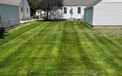 Photo of Melissa M.'s yard after getting lawn care in Leland, NC