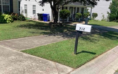 Photo of Myona M.'s yard after getting lawn care in Crown Point, IN