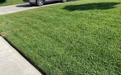 Photo of Richard E.'s yard after getting lawn care in Banning, CA