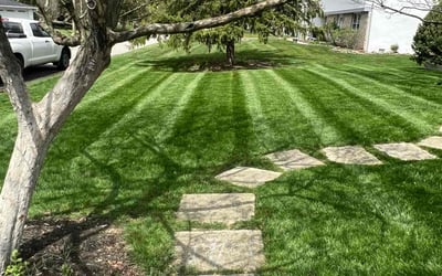 Photo of Nick C.'s yard after getting lawn care in Pataskala, OH
