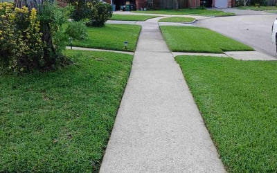 Photo of Dennis W.'s yard after getting lawn care in Houston, TX