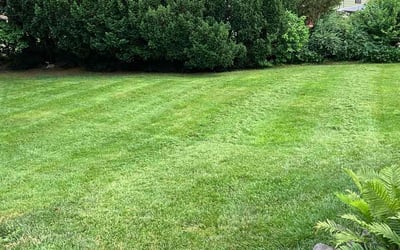 Photo of I-Ju L.'s yard after getting lawn care in Framingham, MA