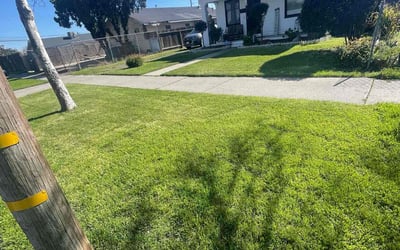 Photo of Holly M.'s yard after getting lawn care in Los Banos, CA