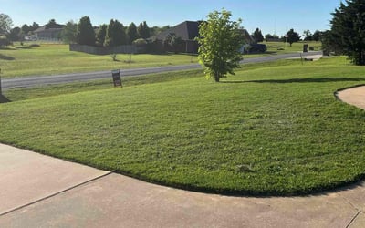 Photo of Chrissy S.'s yard after getting lawn care in Grand Island, NY