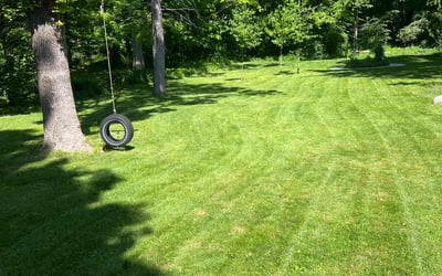 Photo of Carol O.'s yard after getting lawn care in Plymouth, MA