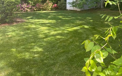 Photo of Ryan D.'s yard after getting lawn care in Raynham, MA