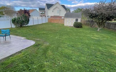 Photo of Joey M.'s yard after getting lawn care in Montebello, CA