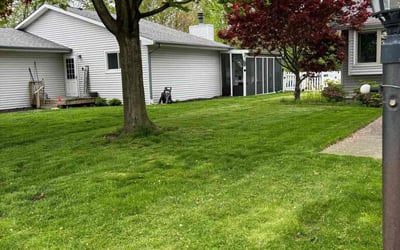 Photo of Jennifer D.'s yard after getting lawn care in Champaign, IL