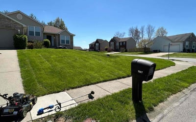Photo of Deanna D.'s yard after getting lawn care in Dayton, KY