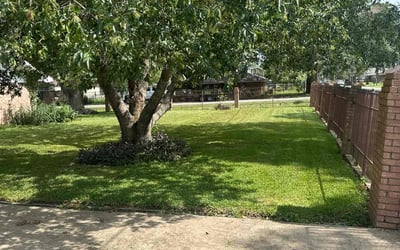Photo of Ron V.'s yard after getting lawn care in Kingwood, TX