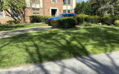 Photo of Rebecca M.'s yard after getting lawn care in Norman, OK
