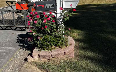 Photo of Jim T.'s yard after getting lawn care in Sherwood, AR