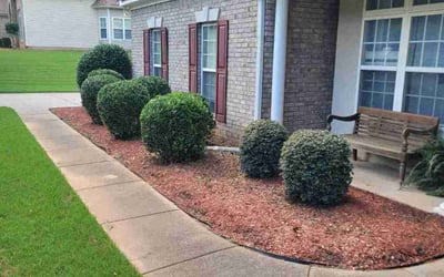 Photo of Sylvia T.'s yard after getting lawn care in Woodside, NY