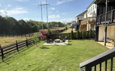 Photo of Julia S.'s yard after getting lawn care in Roseville, MI