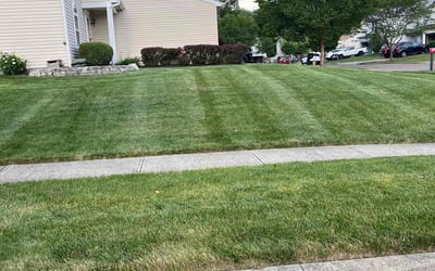 Photo of Tonya B.'s yard after getting lawn care in Blacklick, OH