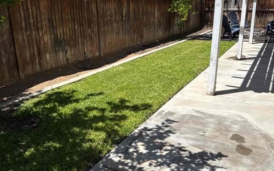 Photo of Shakeva H.'s yard after getting lawn care in Crestline, CA