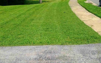 Photo of Tom H.'s yard after getting lawn care in Bryan, TX