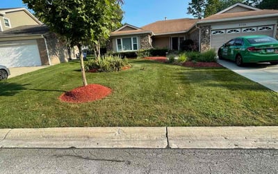 Photo of Kerry R.'s yard after getting lawn care in Crestwood, IL