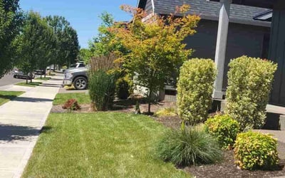 Photo of Kimberly P.'s yard after getting lawn care in Woodburn, OR