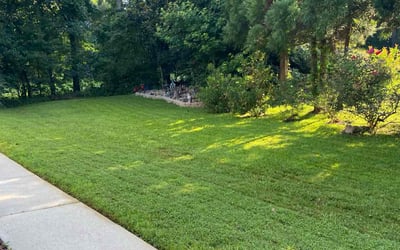 Photo of Jonathan P.'s yard after getting lawn care in Webster, NY