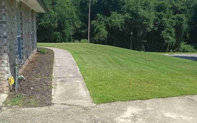 Photo of Kathi C.'s yard after getting lawn care in Land O' Lakes, FL