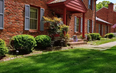 Photo of Dj W.'s yard after getting lawn care in Texas City, TX