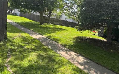 Photo of Ann H.'s yard after getting lawn care in Brick, NJ
