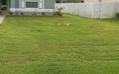 Photo of Melissa L.'s yard after getting lawn care in Lebanon, PA