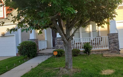 Photo of Larry U.'s yard after getting tree care in La Vista, NE