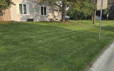 Photo of Sam O.'s yard after getting lawn care in Raymore, MO