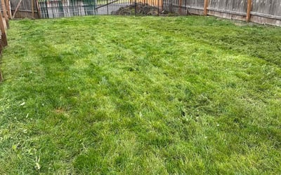 Photo of Tina P.'s yard after getting tree care in Oregon City, OR