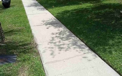Photo of M M.'s yard after getting lawn care in Rowland Heights, CA