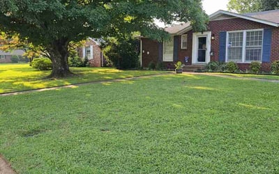 Photo of Tyler P.'s yard after getting lawn care in Florence, AL