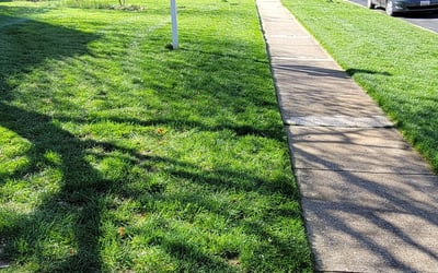 Photo of Joycee B.'s yard after getting lawn care in Brunswick, MD