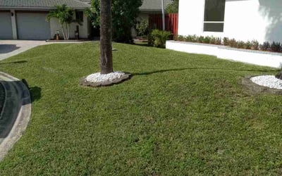 Photo of Amanda M.'s yard after getting lawn care in Tonawanda, NY